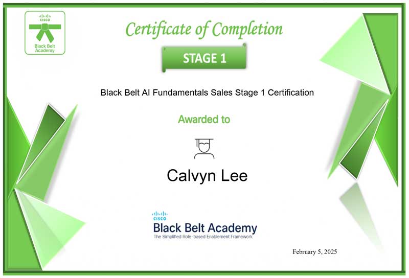 Black Belt AI Fundamentals Sales Stage 1 Certificate